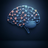 AI & Automation Solutions